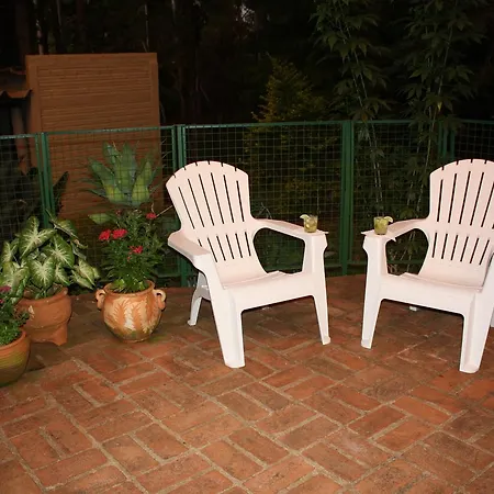 Oasis Bed And Breakfast-3